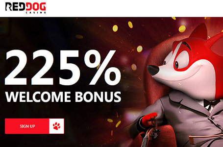 Red Dog Casino Bonus Codes No Deposit