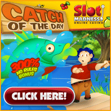Slot Madness Slotmachine.net - Play Catch of the Day