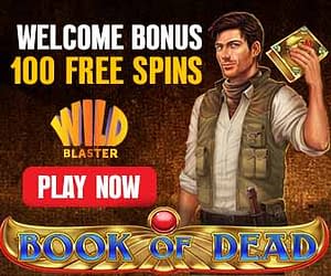 wildblaster casino bonus codes