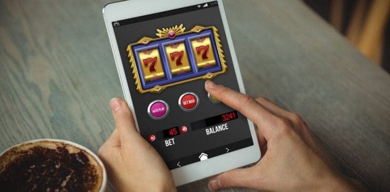 playamo casino app